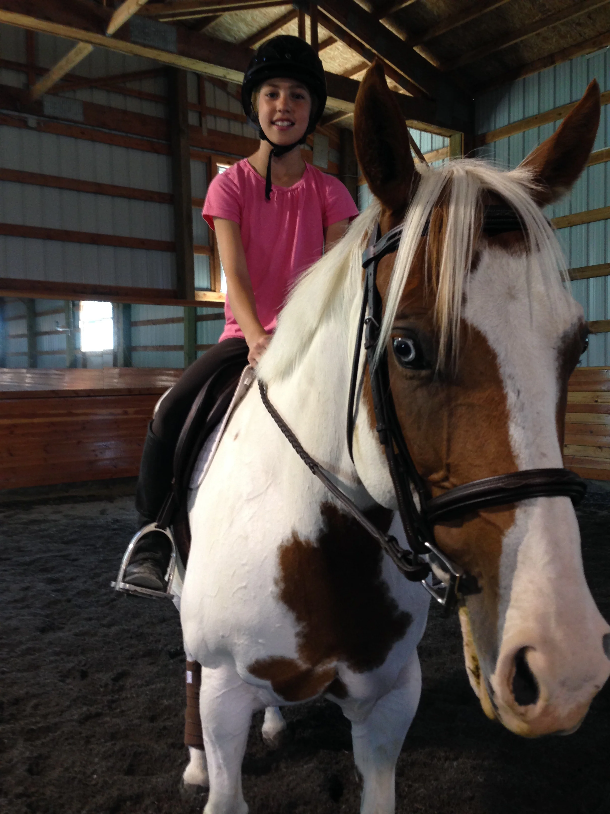 A Practice Pony for Paige