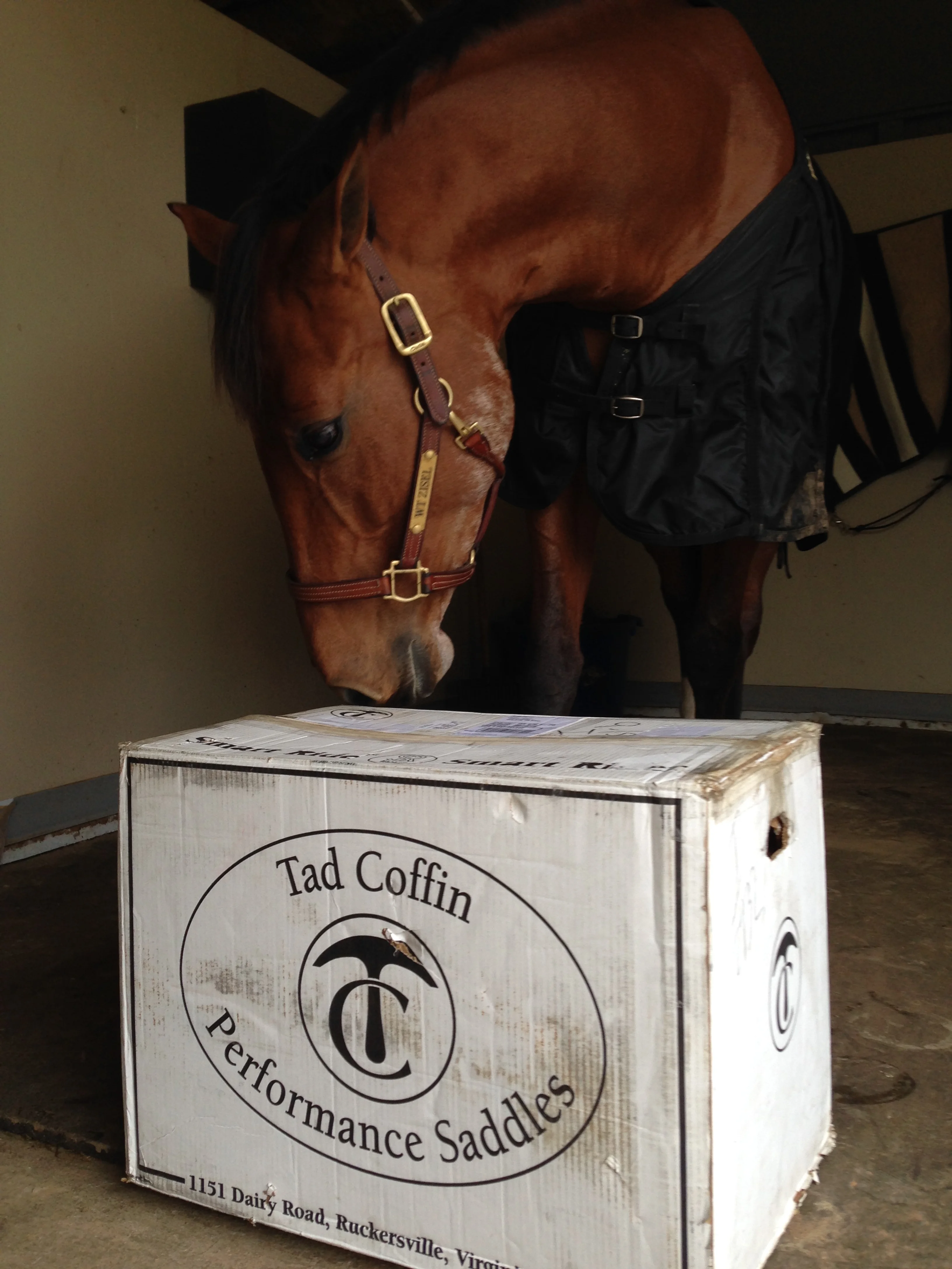 Tack, Tad Coffin Style
