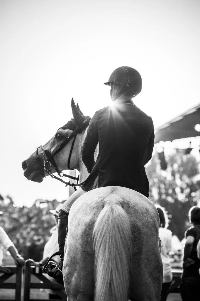 The horse sale integrity manifesto