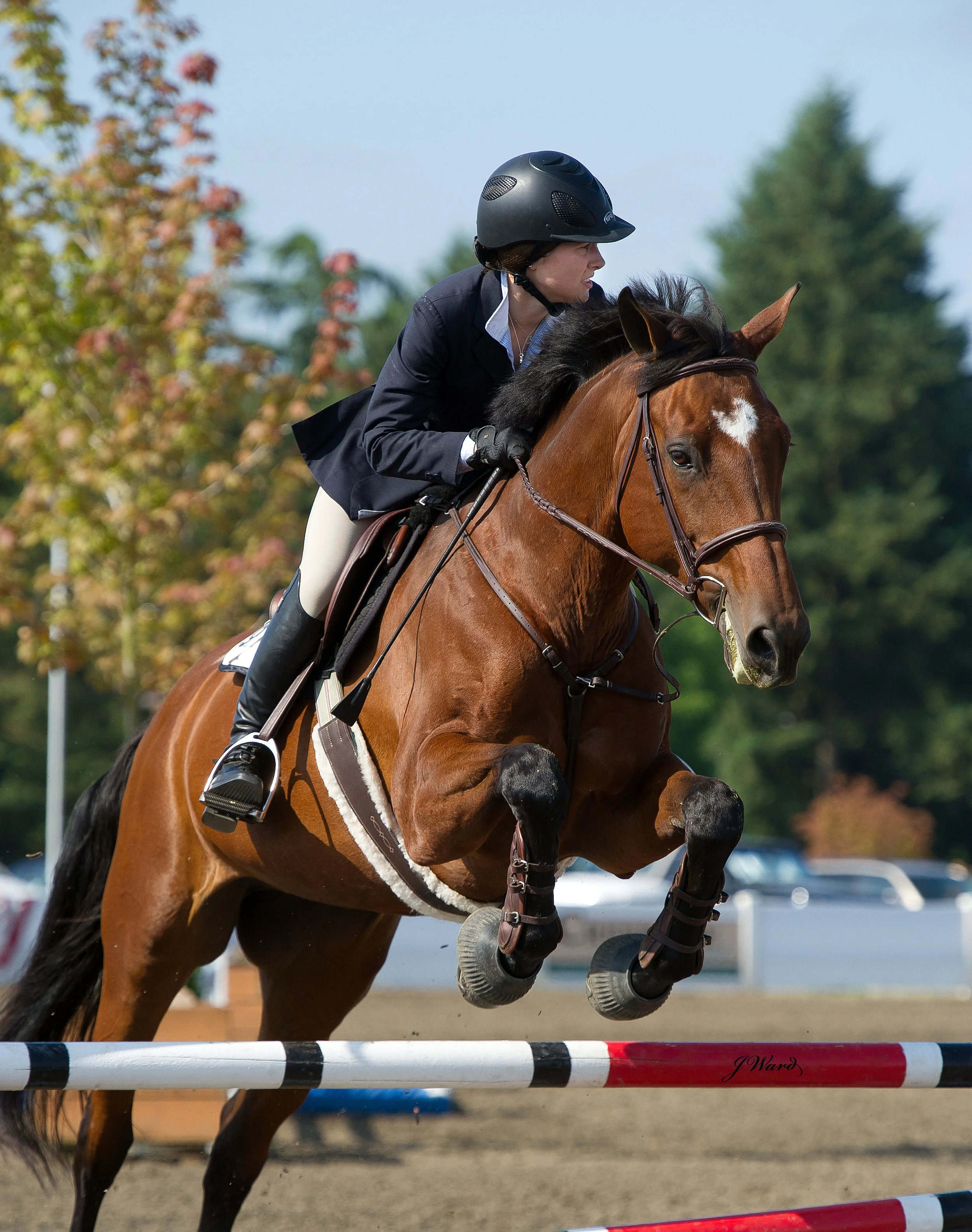 2019 Show Schedule