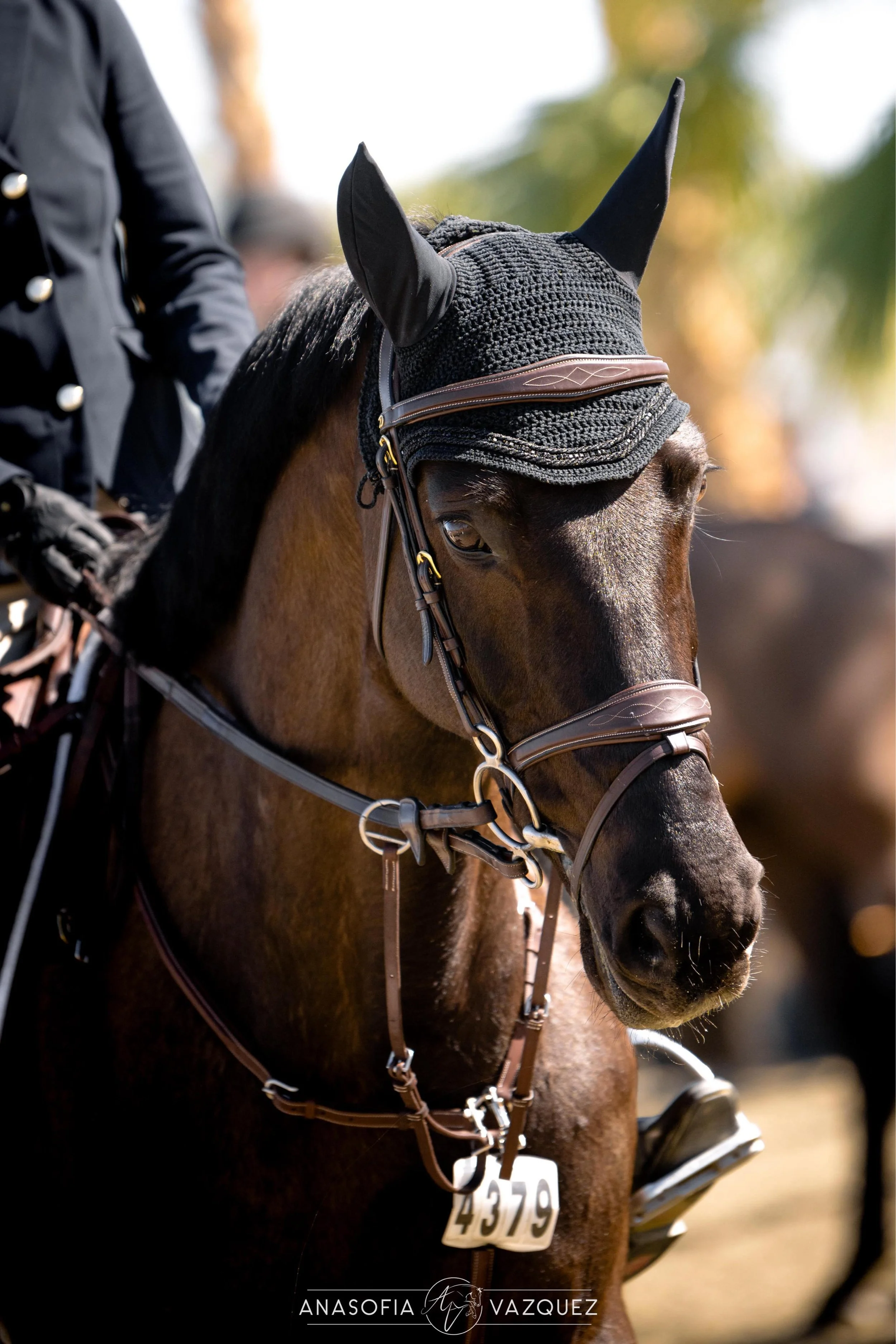 Finalizing end of 2024 and 2025 Clinic and Show Schedule 