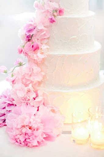 elizabethannedesigns.com