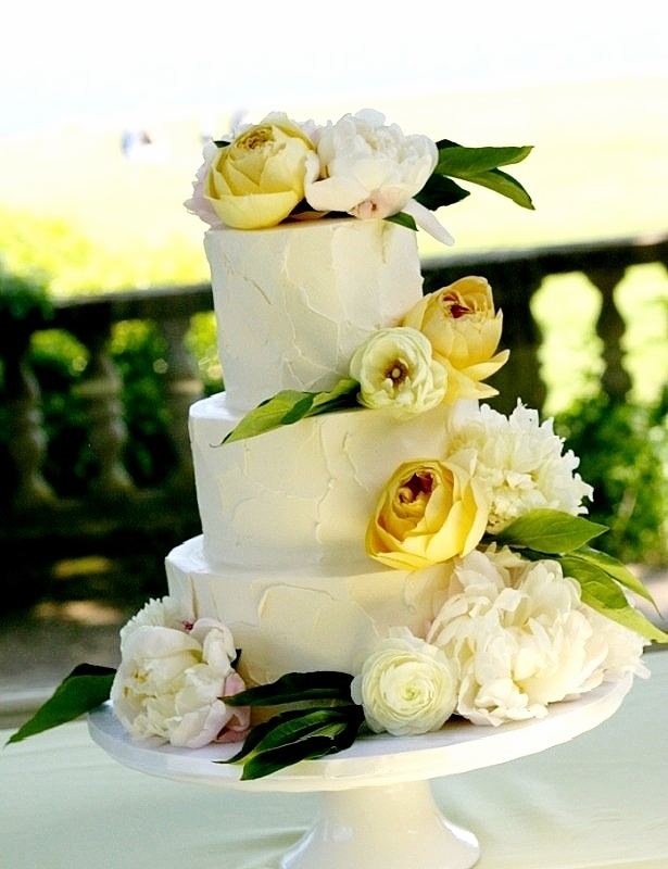 spring-2-n0w+my+site+(save+always).jpg