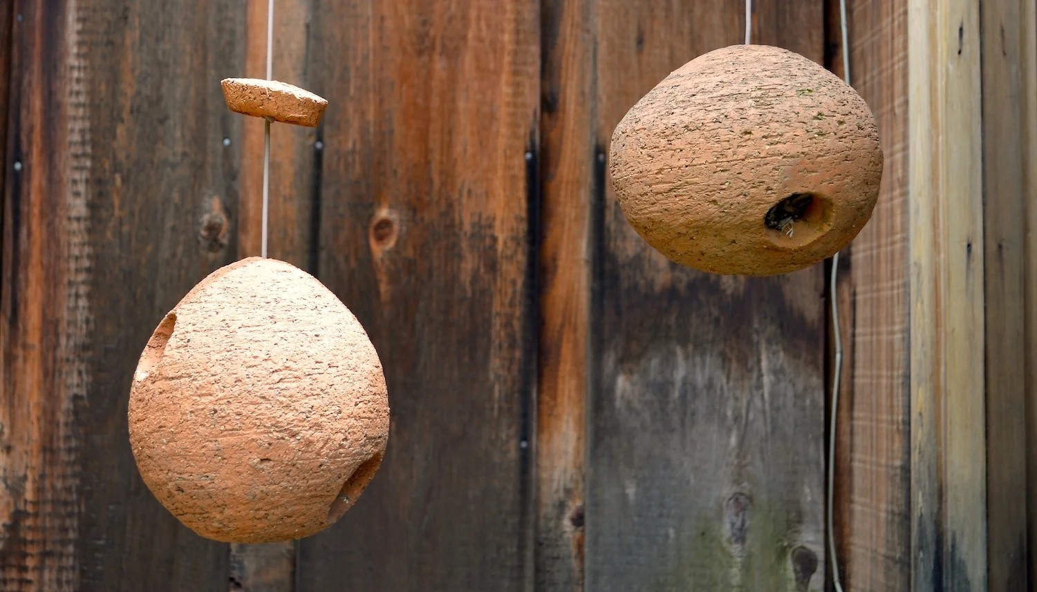 Two of Stan's birdhouses from back in the day.