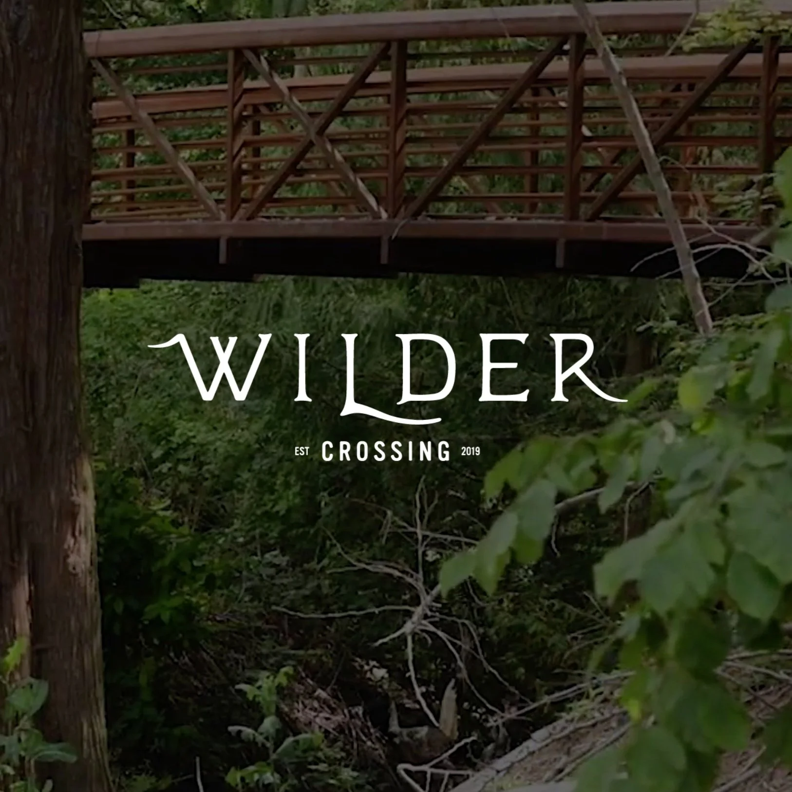 Wilder Crossing: Urban Craftsman Homes