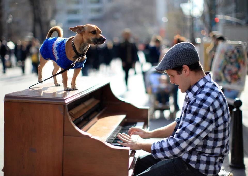 Why I Love Street Performing Around the World