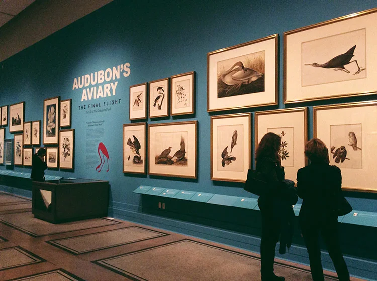 [Art in the City] Thoughts on Audubon's Aviary: The Final Flight