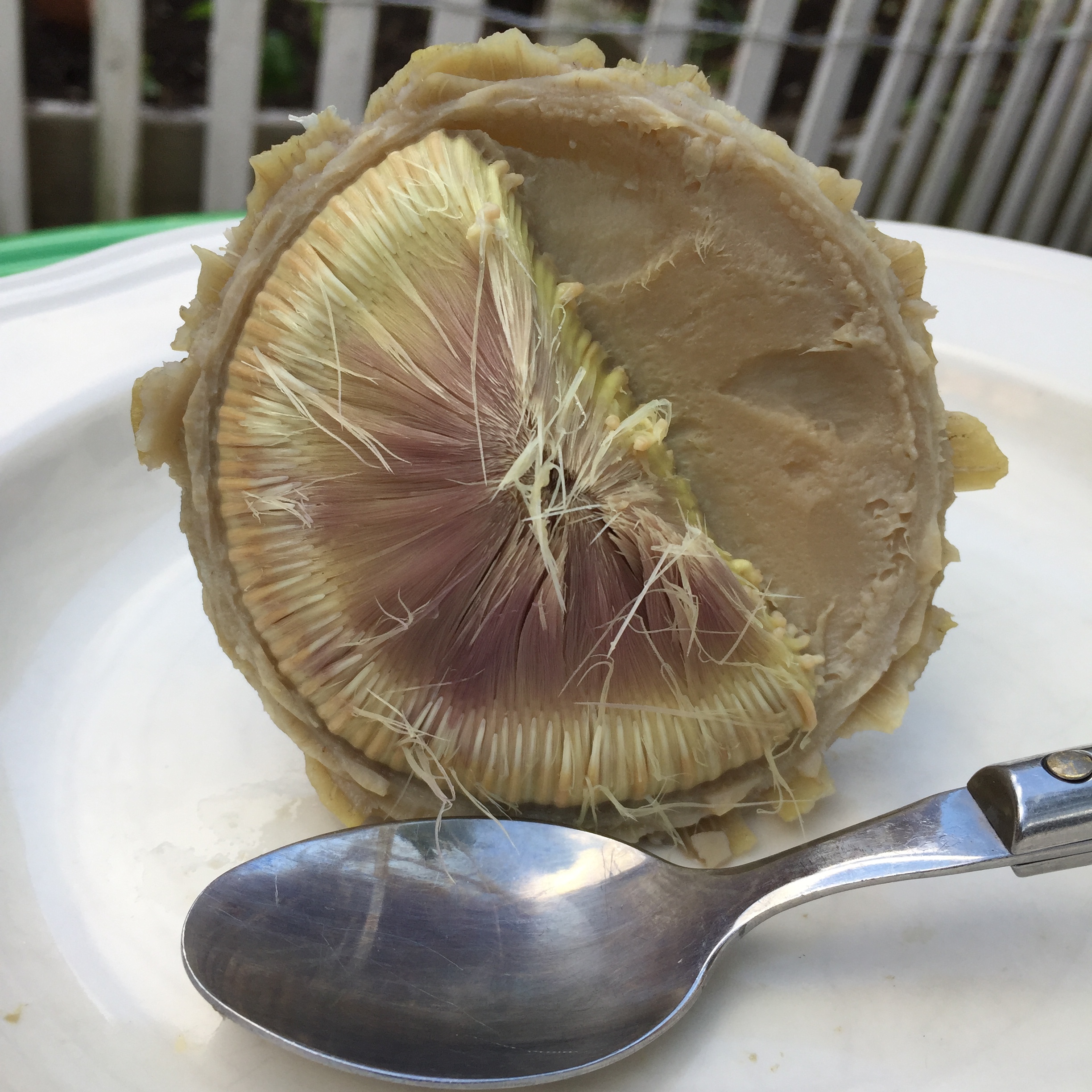 Halfway done with scraping away the choke to reveal the delicious heart!