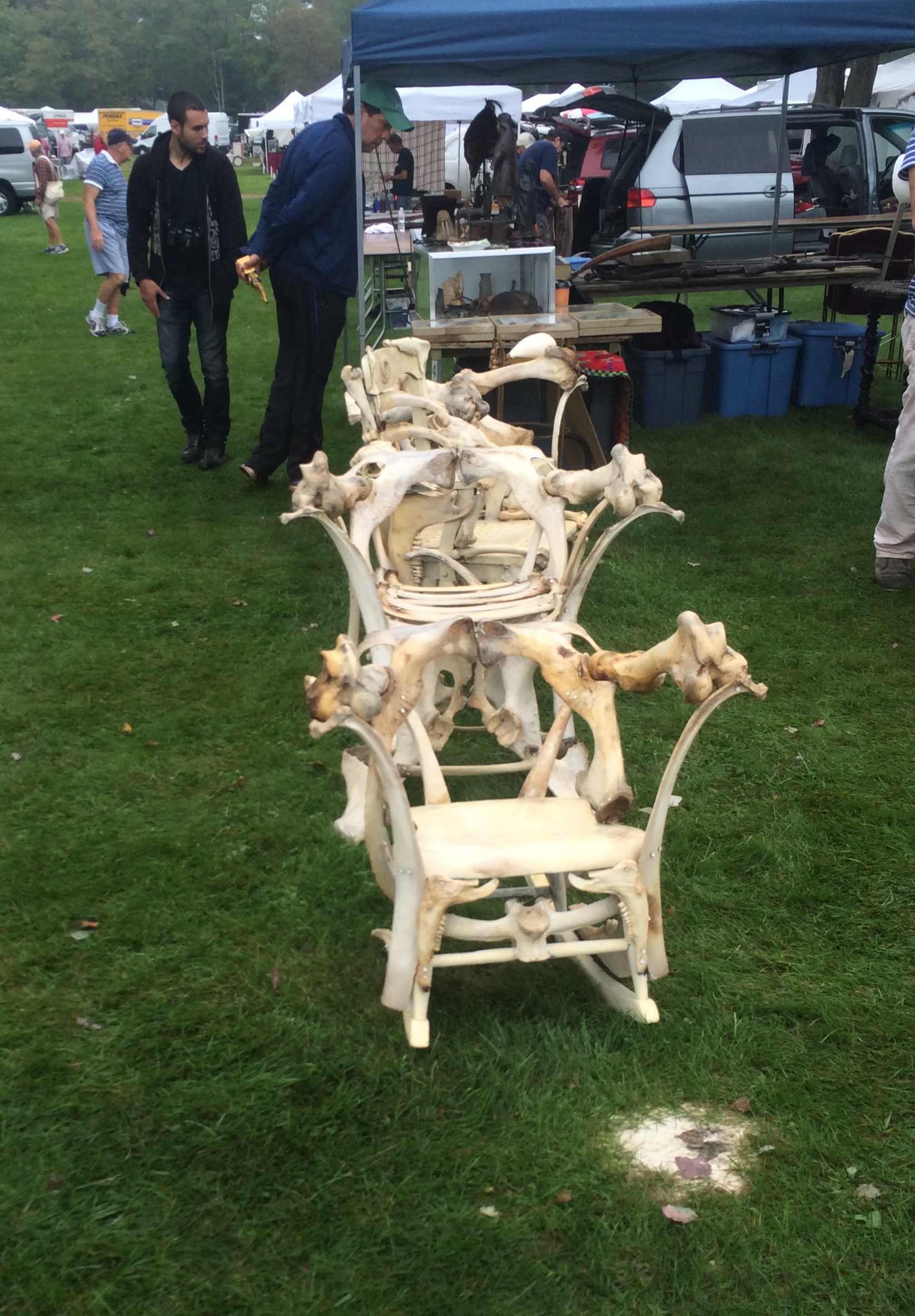 Yes, these are chairs made out of bones. Very unique, but also super creepy.