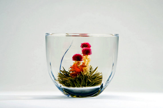 Blooming Tea by Duval Tea