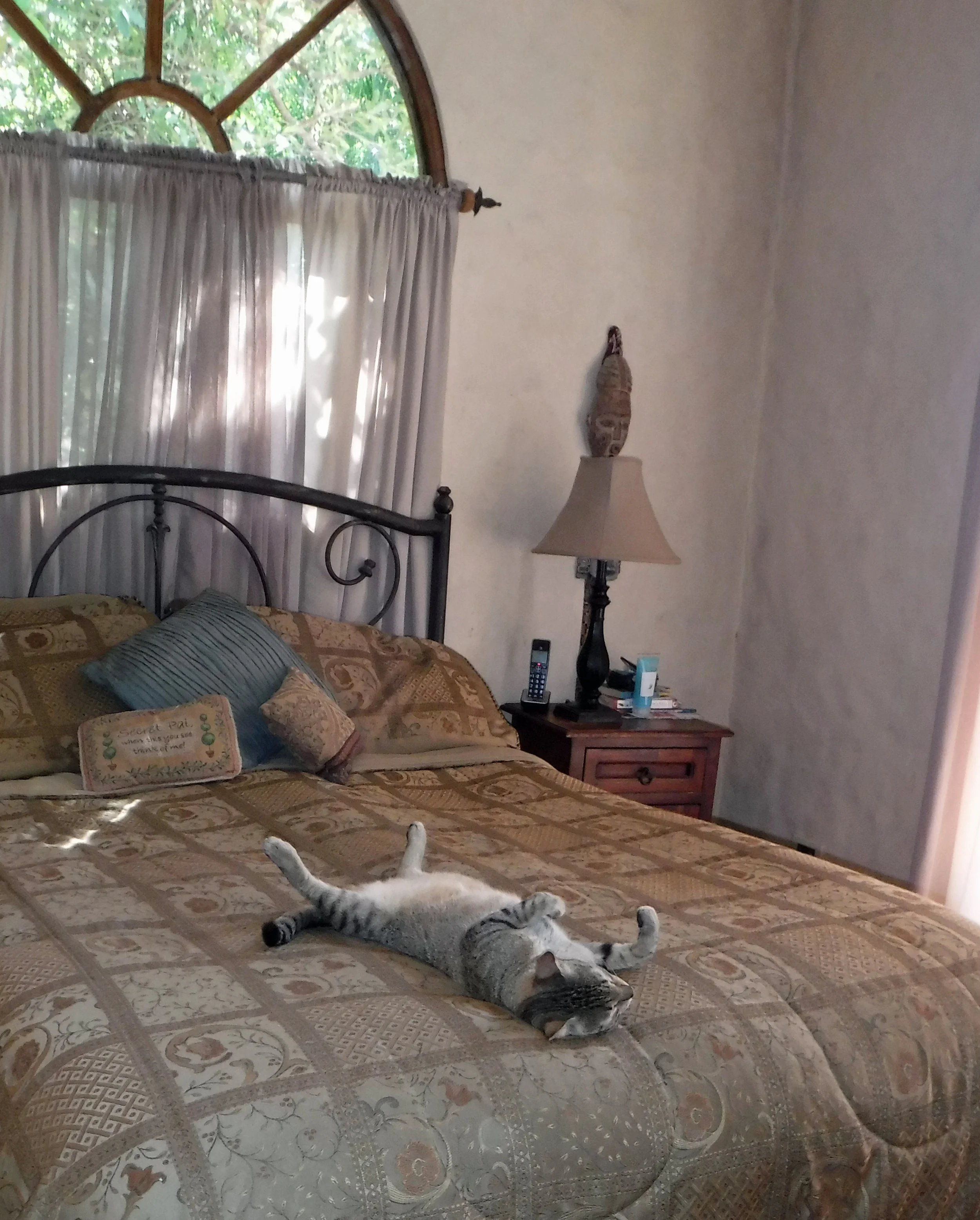 Sometimes the most entertaining animals are right nearby!
