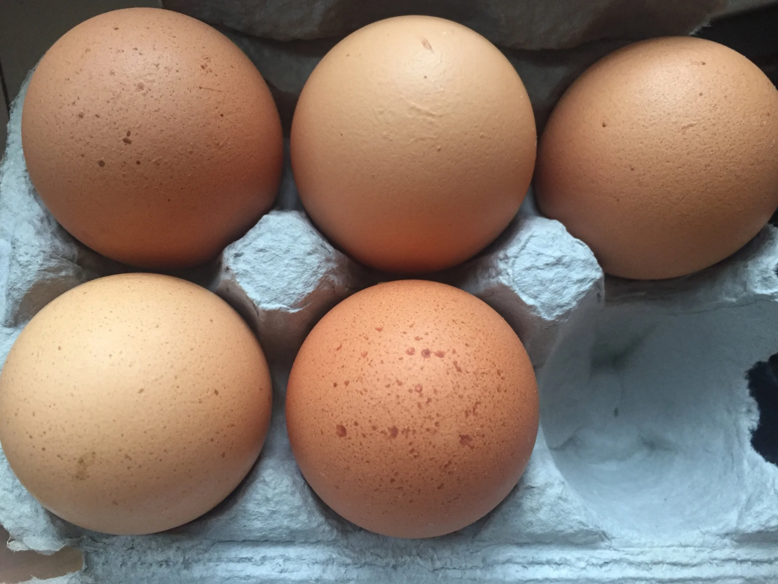 1:2 doz eggs_4496.jpg