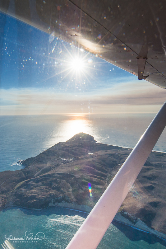 Point Reyes