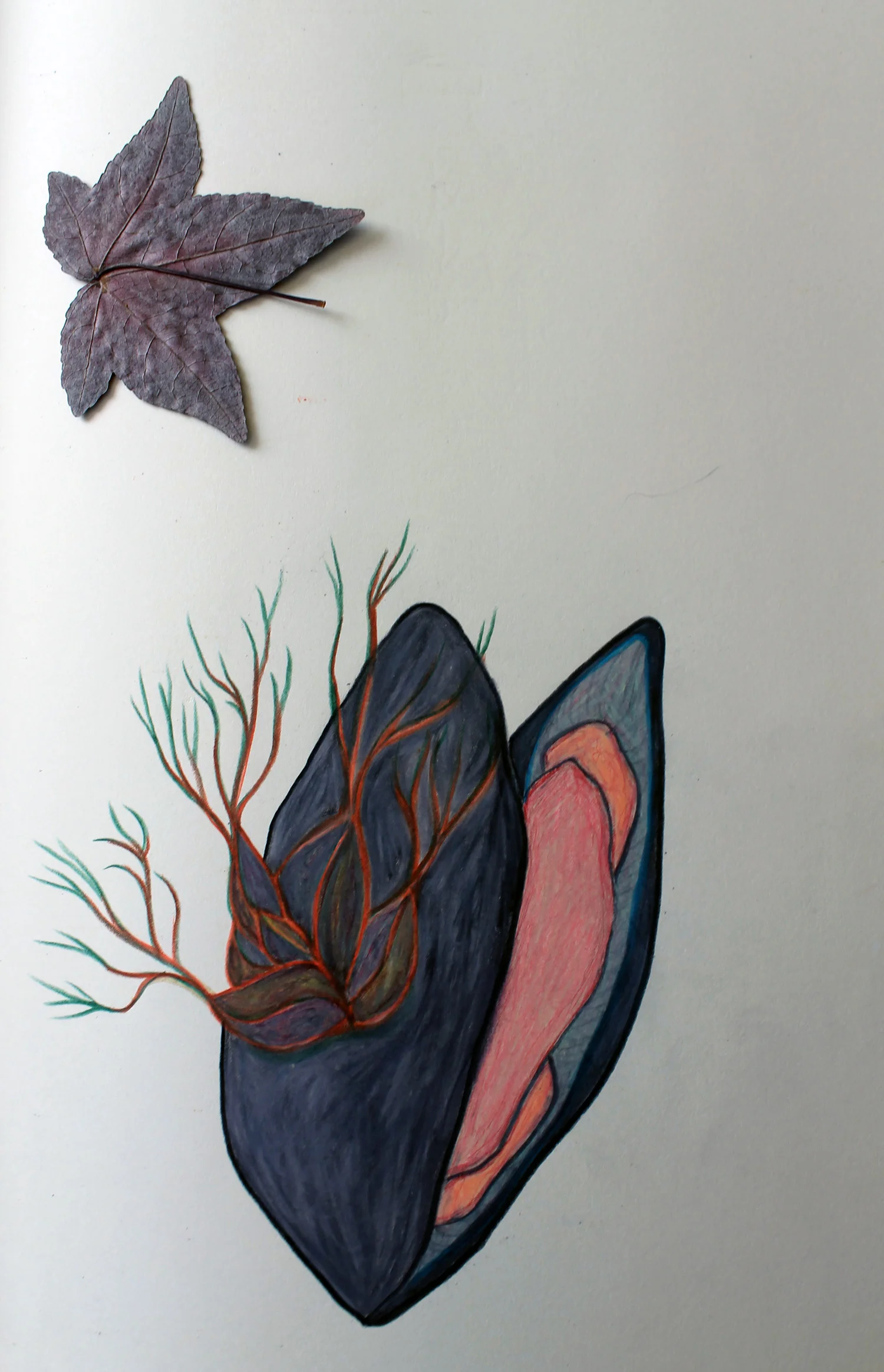  done in Mendocino, California 