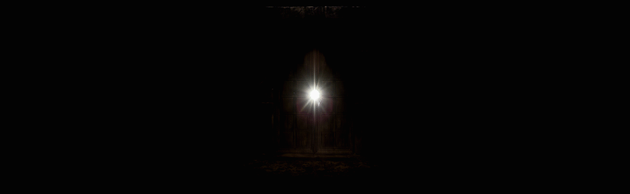 SITE_SectionVids_Door.gif