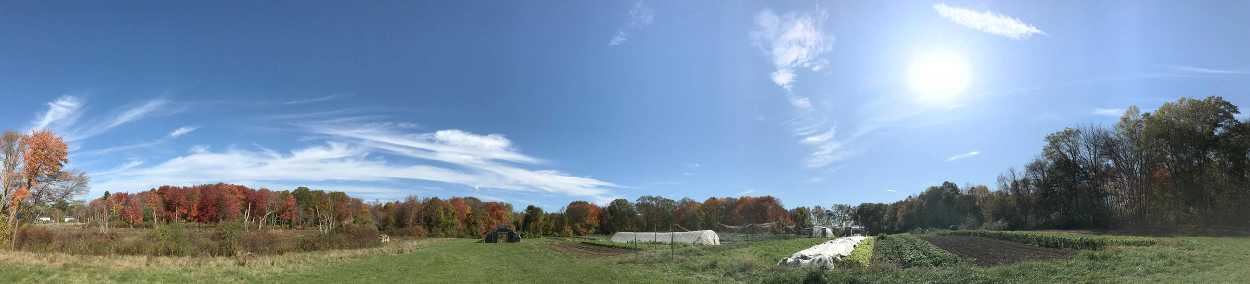 Medway Community Farm (Medway, Massachusetts)