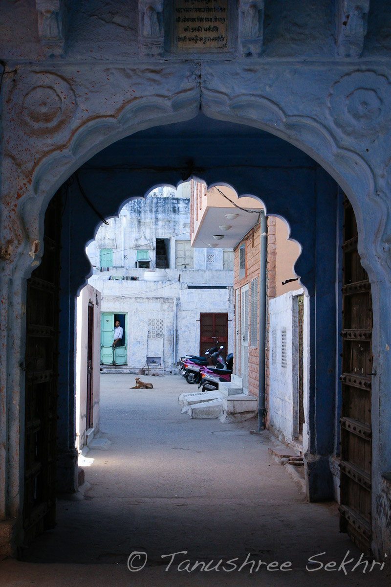 Rajasthan2011__003.jpg