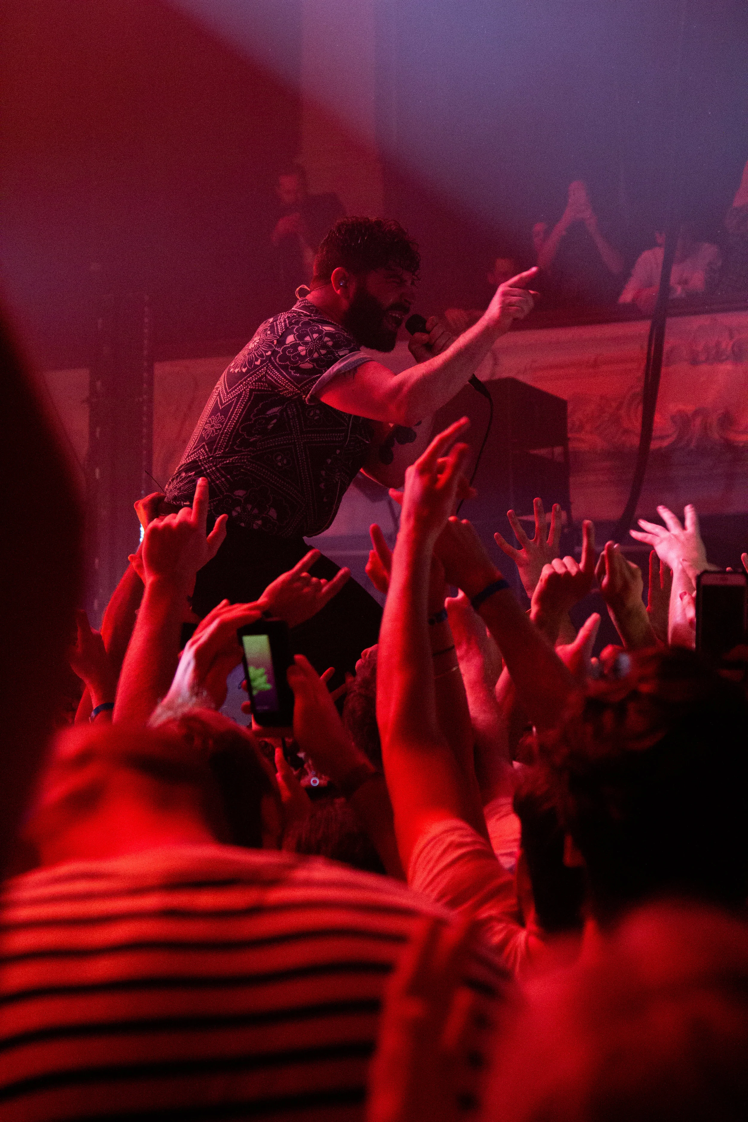 Foals-49.JPG