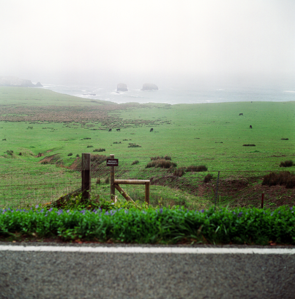 Open grassy field with grazing cows, a foggy ocean in the background, and a 'Private Property' sign near a wooden fence.