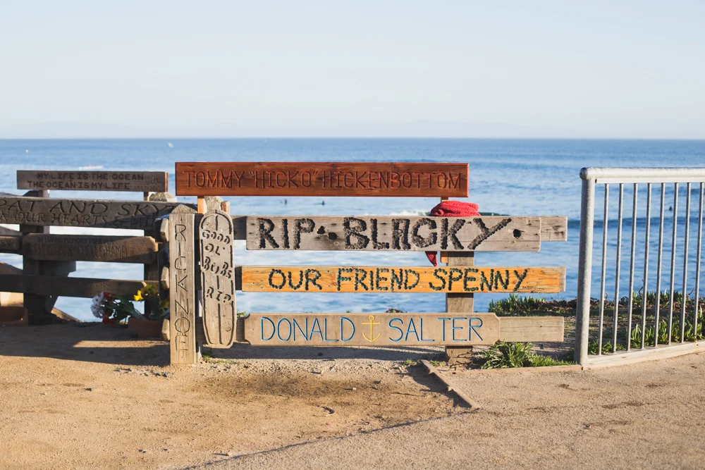 Multiple wooden and painted signs with messages and names placed on a seaside promenade. The background features the ocean and clear sky.