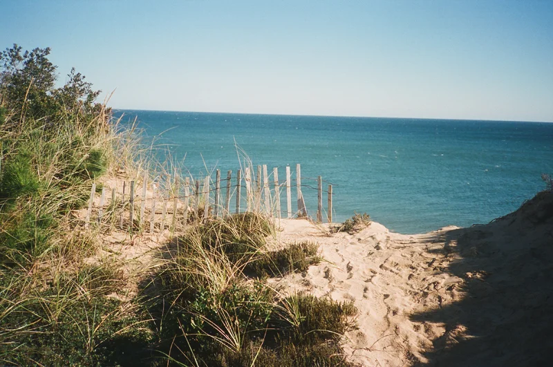 A sandy beach pathway leading to the ocean, bordered by grassy dunes and a wooden fence.