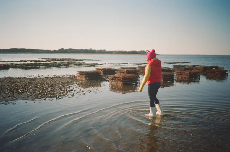 Person in a red vest and pink hat wading through shallow water on a beach with brick structures in the background.