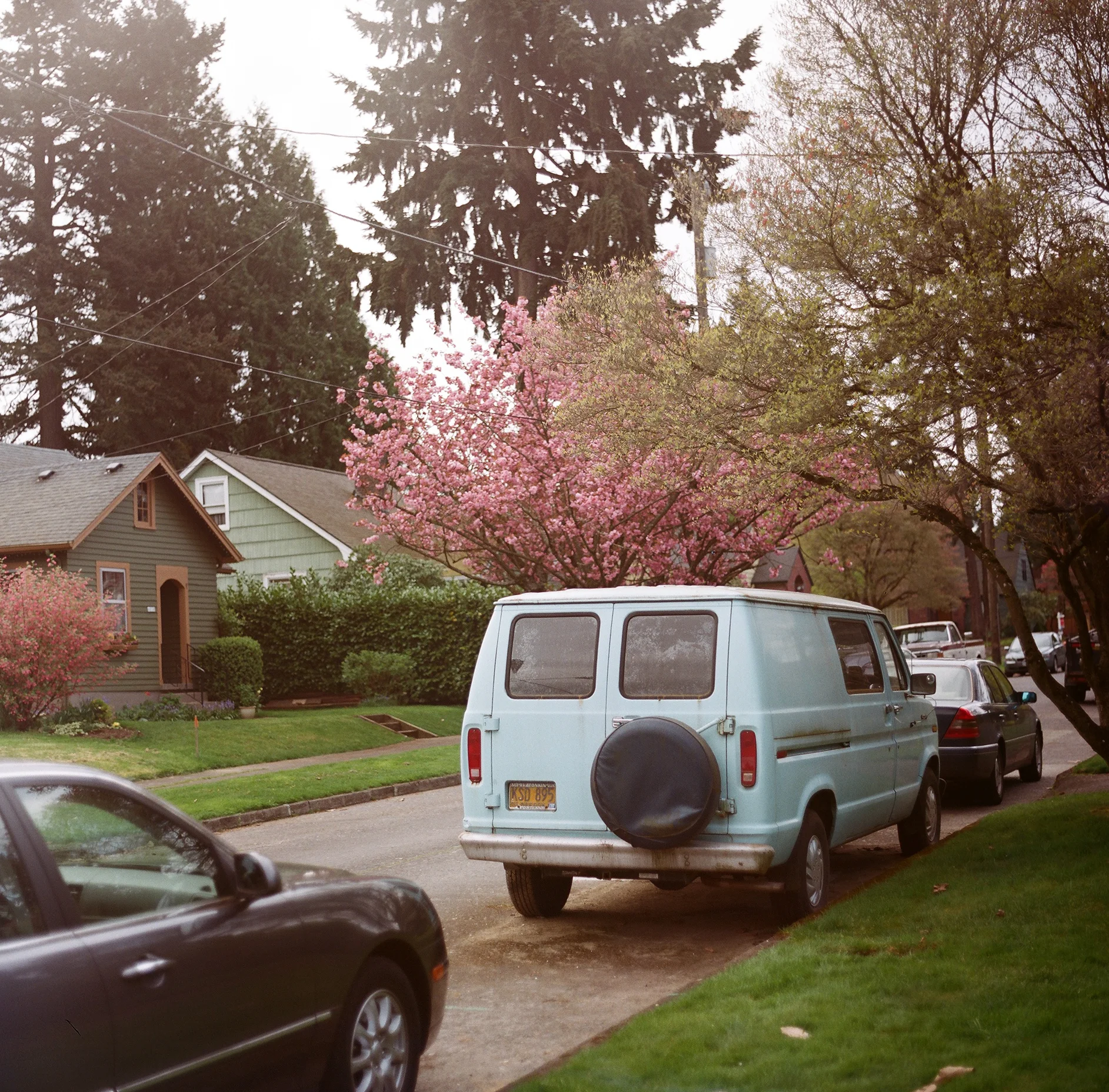 A vintage light blue van parked on a residential street with flowering trees, green lawns, and houses in the background.