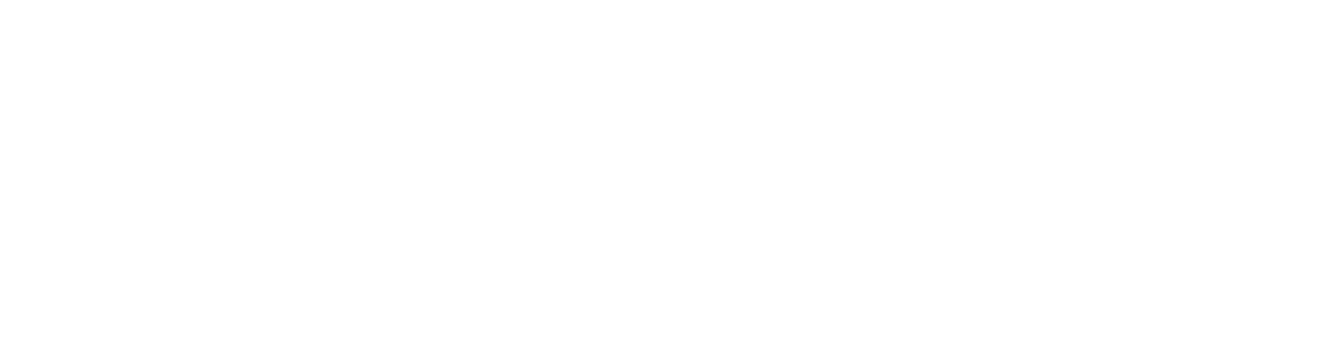 Black background with the words 'IDEAL WILD' in white, uppercase letters.