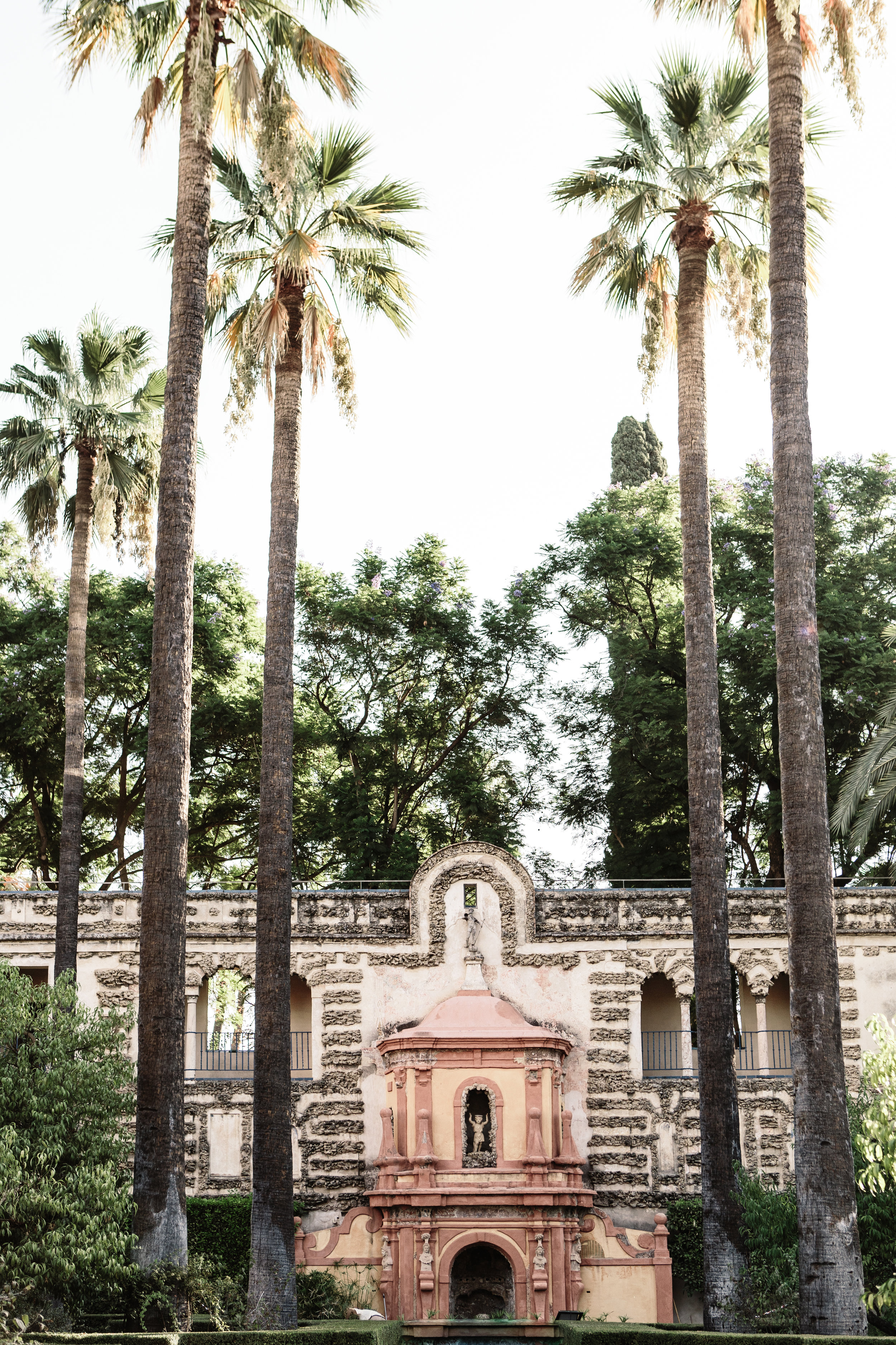 Historic building with a pink ornate facade, surrounded by tall palm trees and lush greenery.