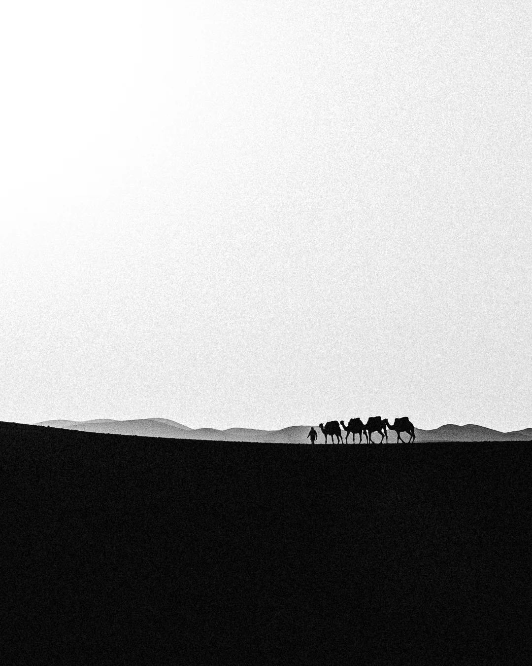 Silhouette of a person herding camels across a desert landscape with distant mountains in black and white.