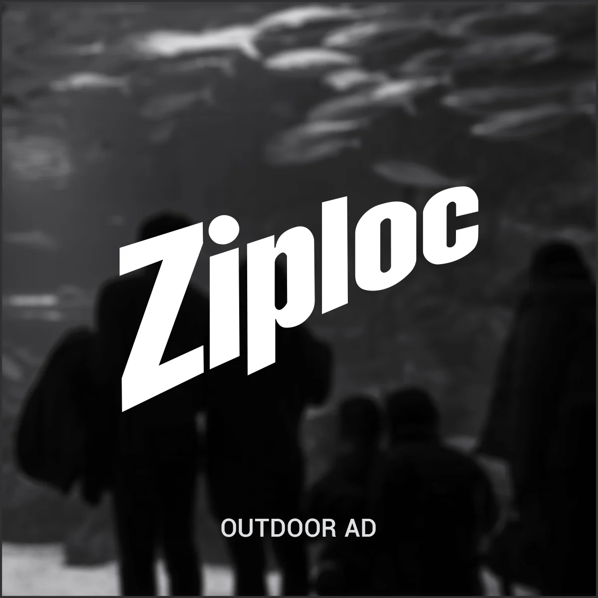 ziploc.jpg