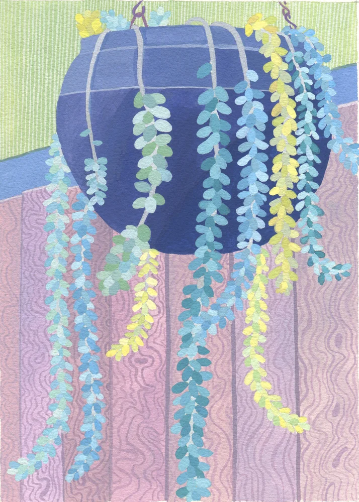 Hanging Basket