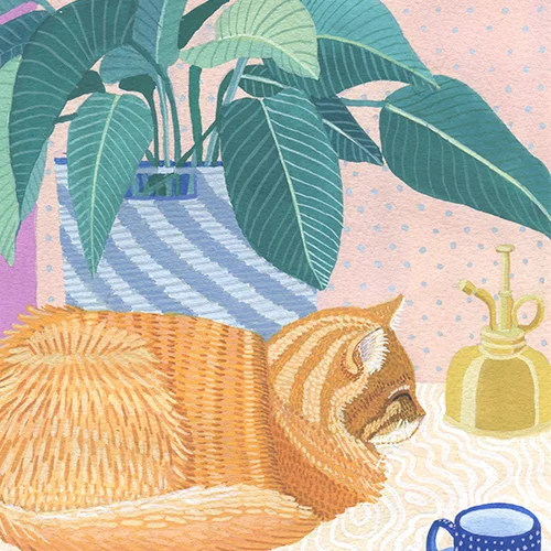 Wallace CROP.jpg