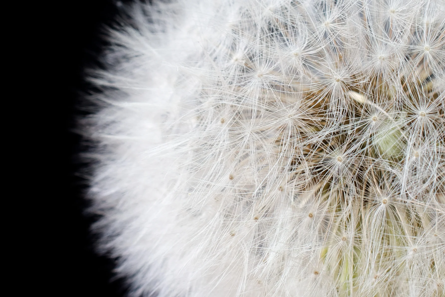 Unglaublich nervige Mitmenschen