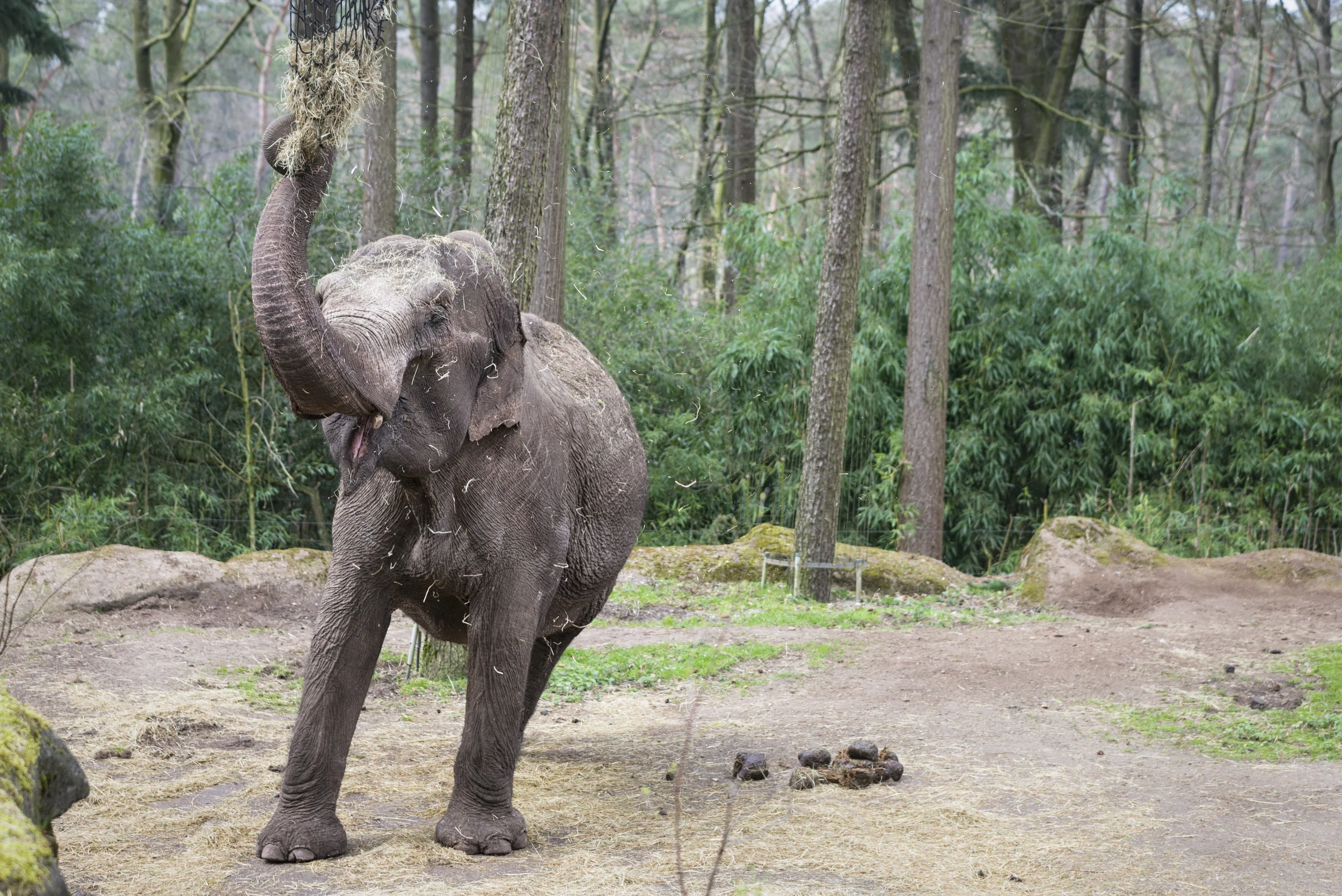Fotos - Kommentare, die man sich besser spart