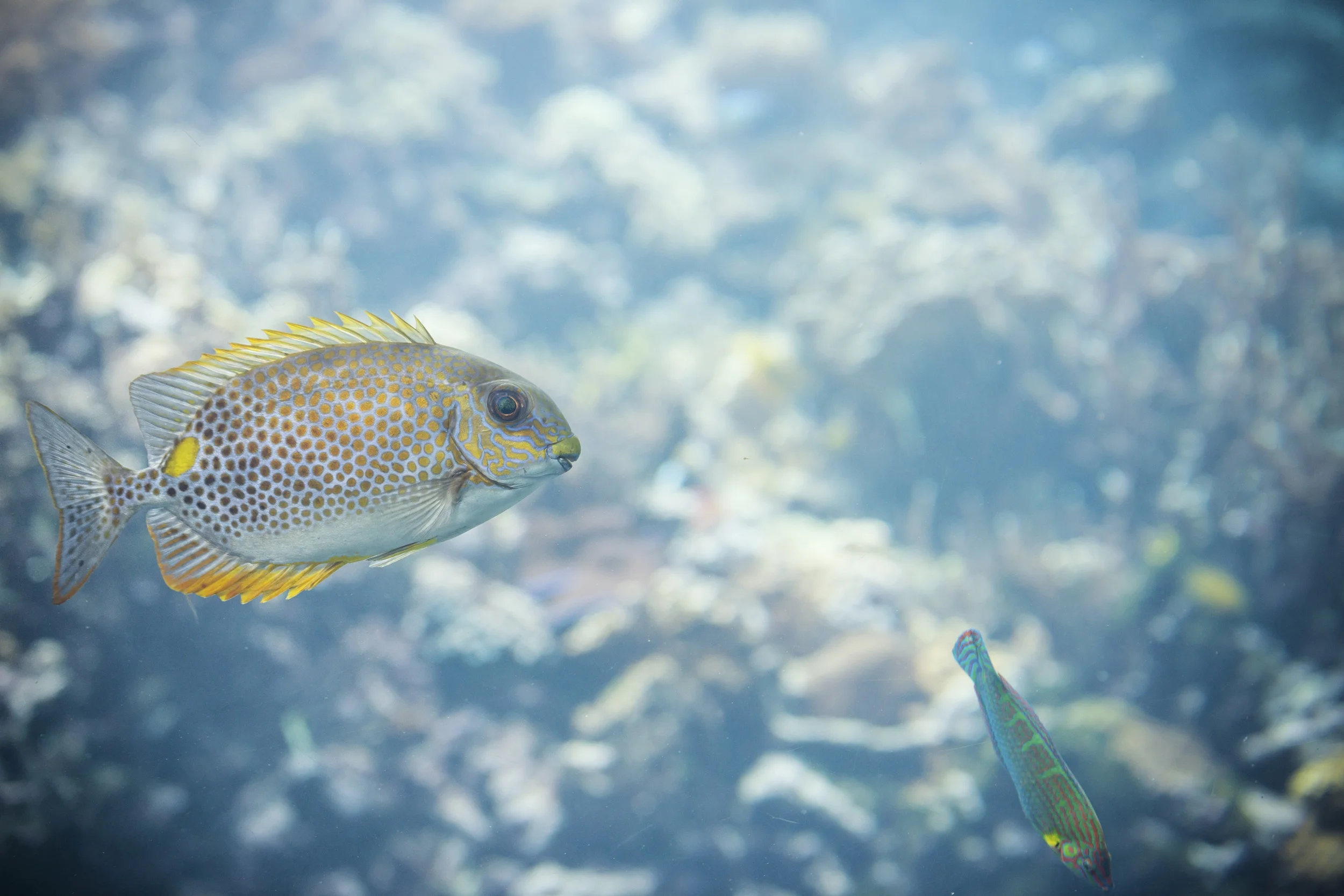 11 (Amateur) Fotografenmarotten