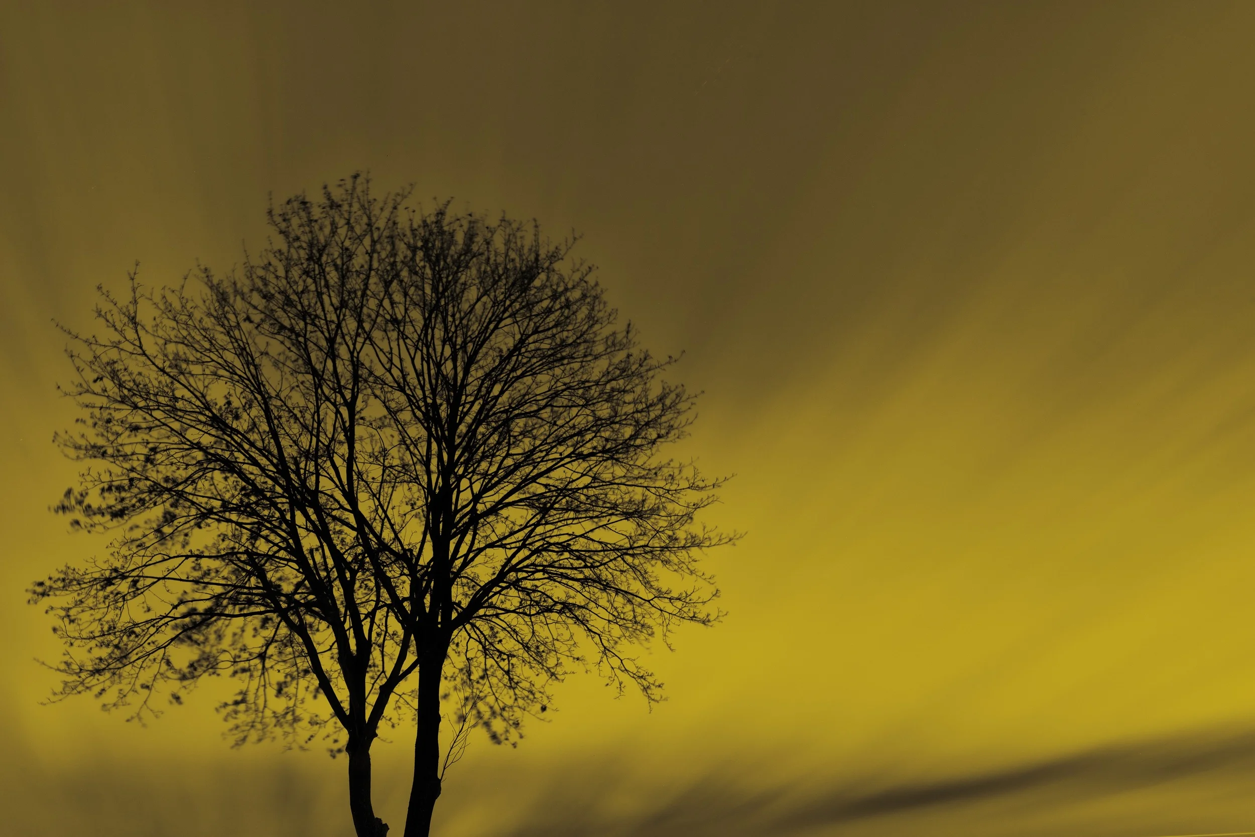 Fotoklau - Die Odyssee meines Bildes Teil 1