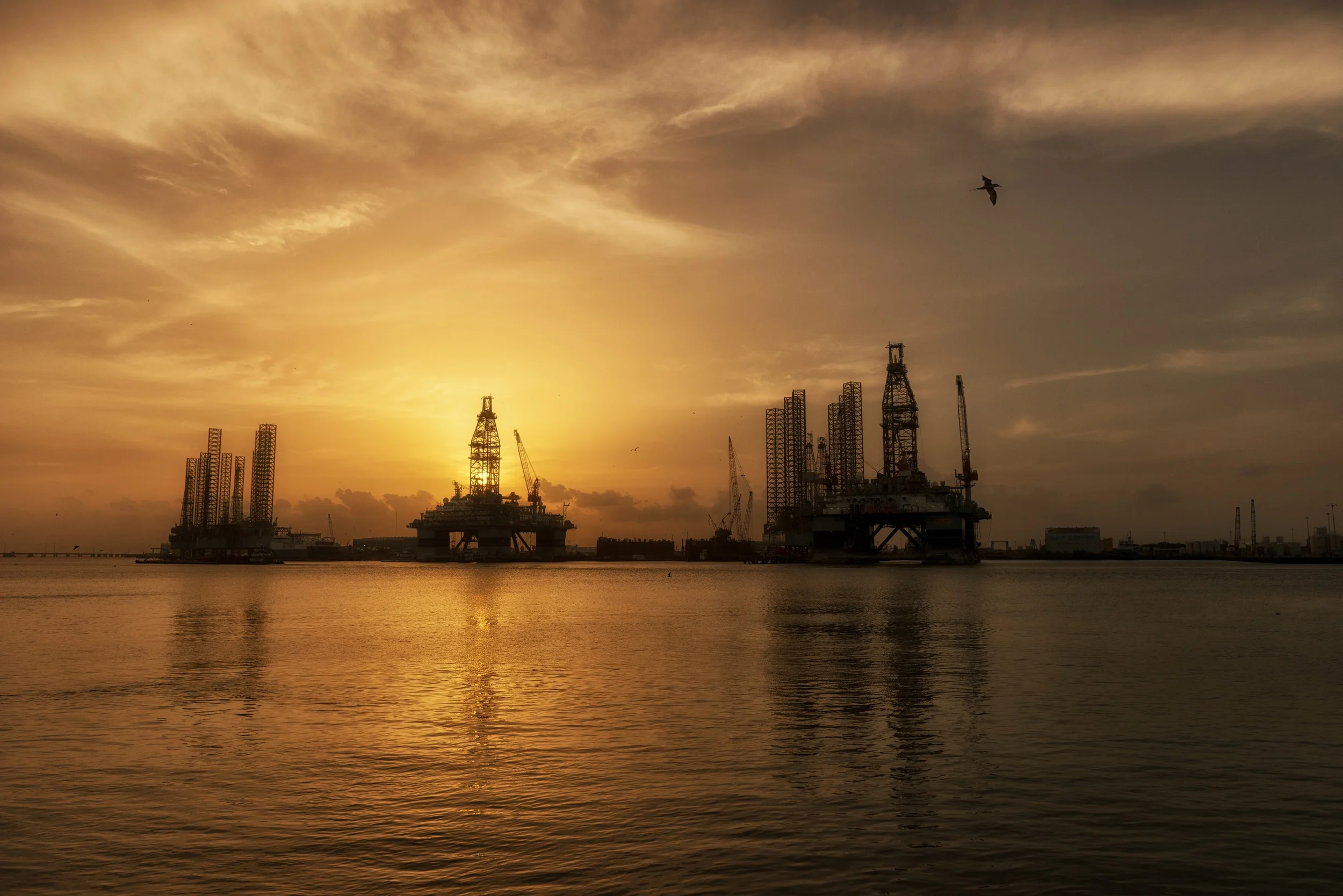 Fotoklau - Die Odyssee meines Bildes Teil 2