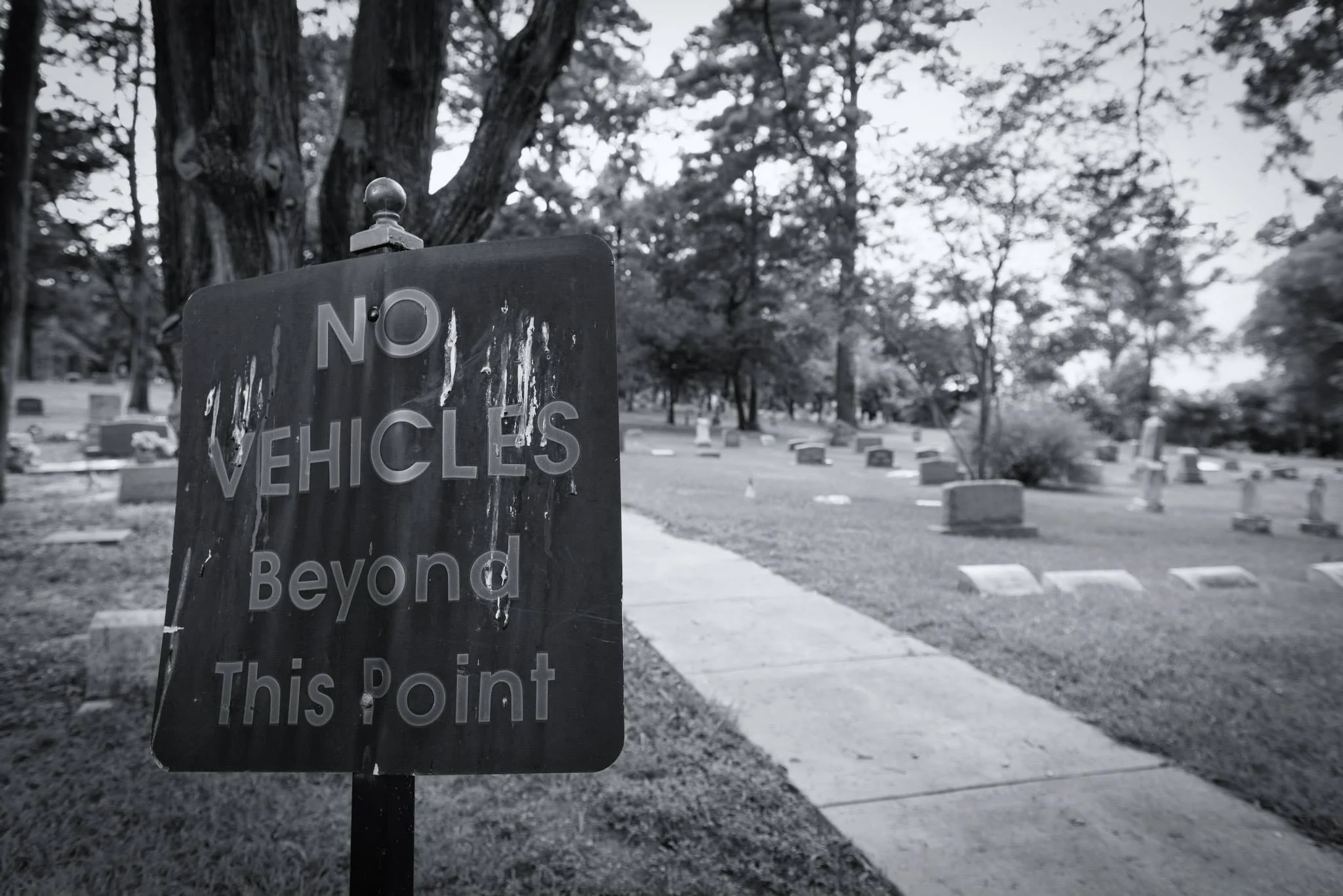 Your photo is popular! - Wer sind Youpic und 500px?