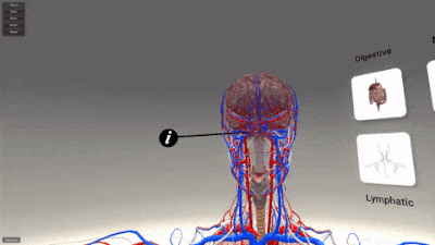 body2.gif