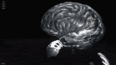 body3.gif