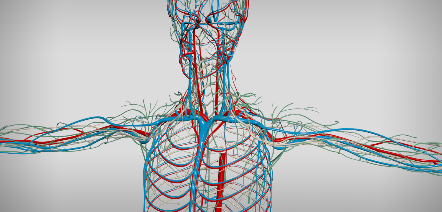 bodyvrheader.jpg