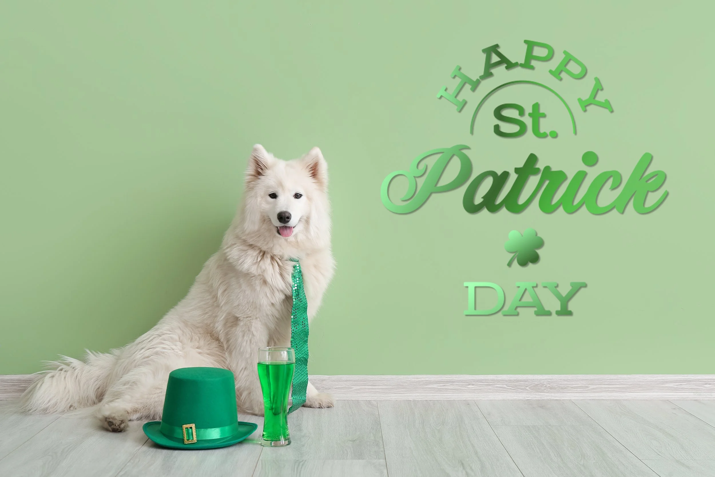 St. Patrick's Day Beer Sale!