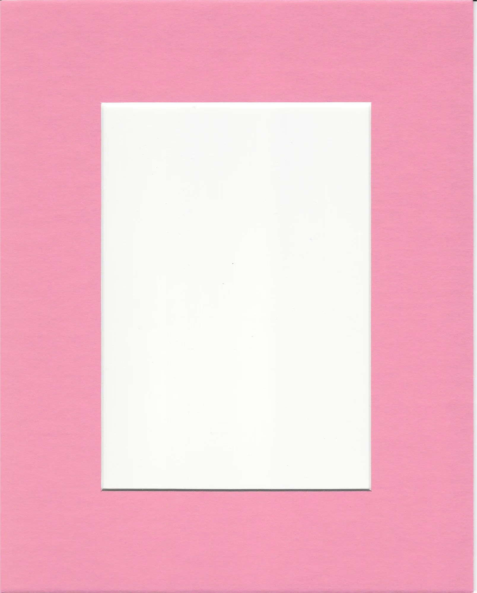 Bubblegum Pink