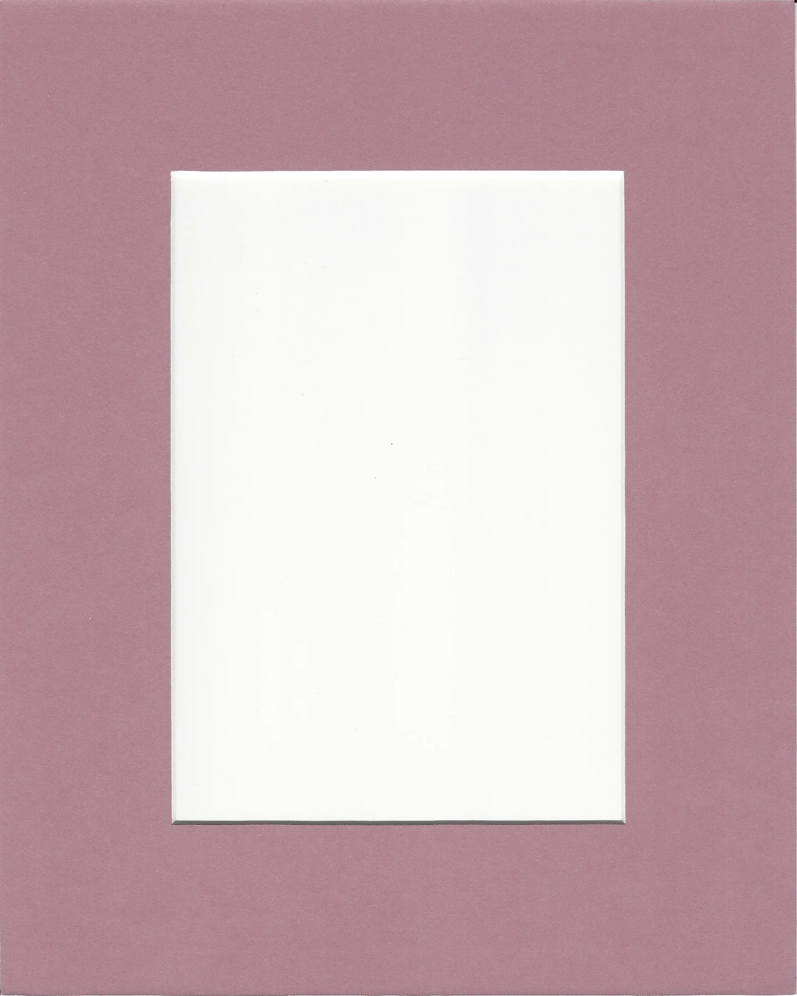 Mauve