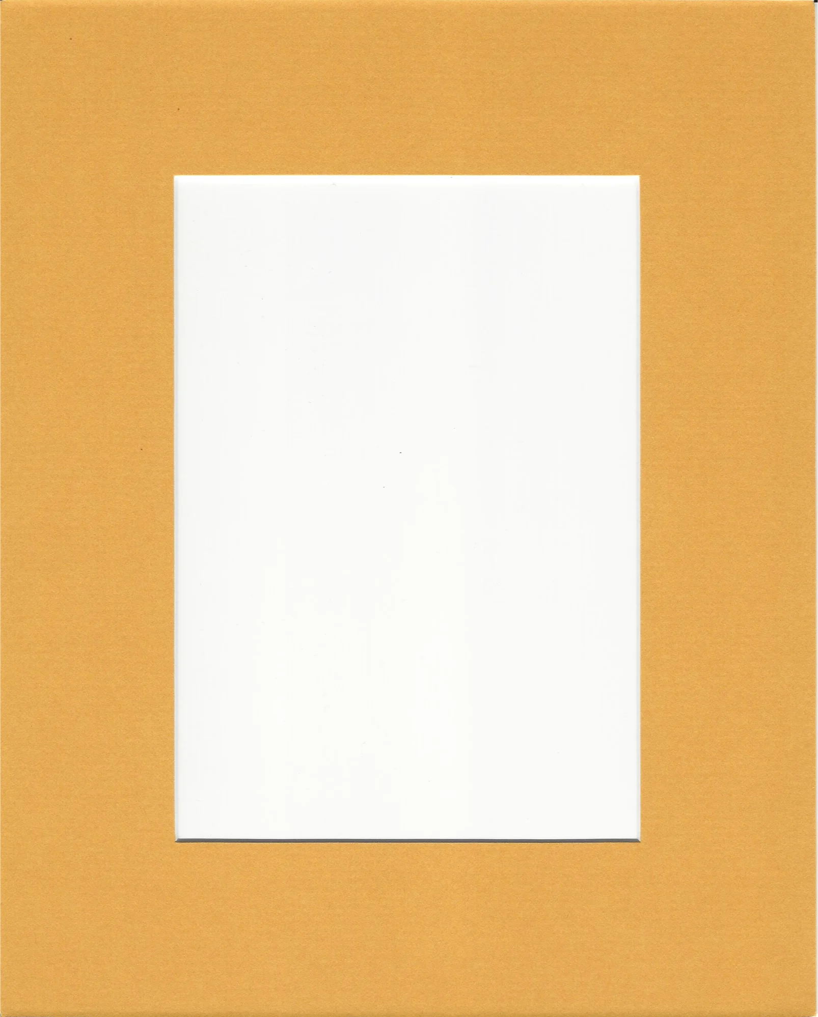 Mustard/Sun Yellow