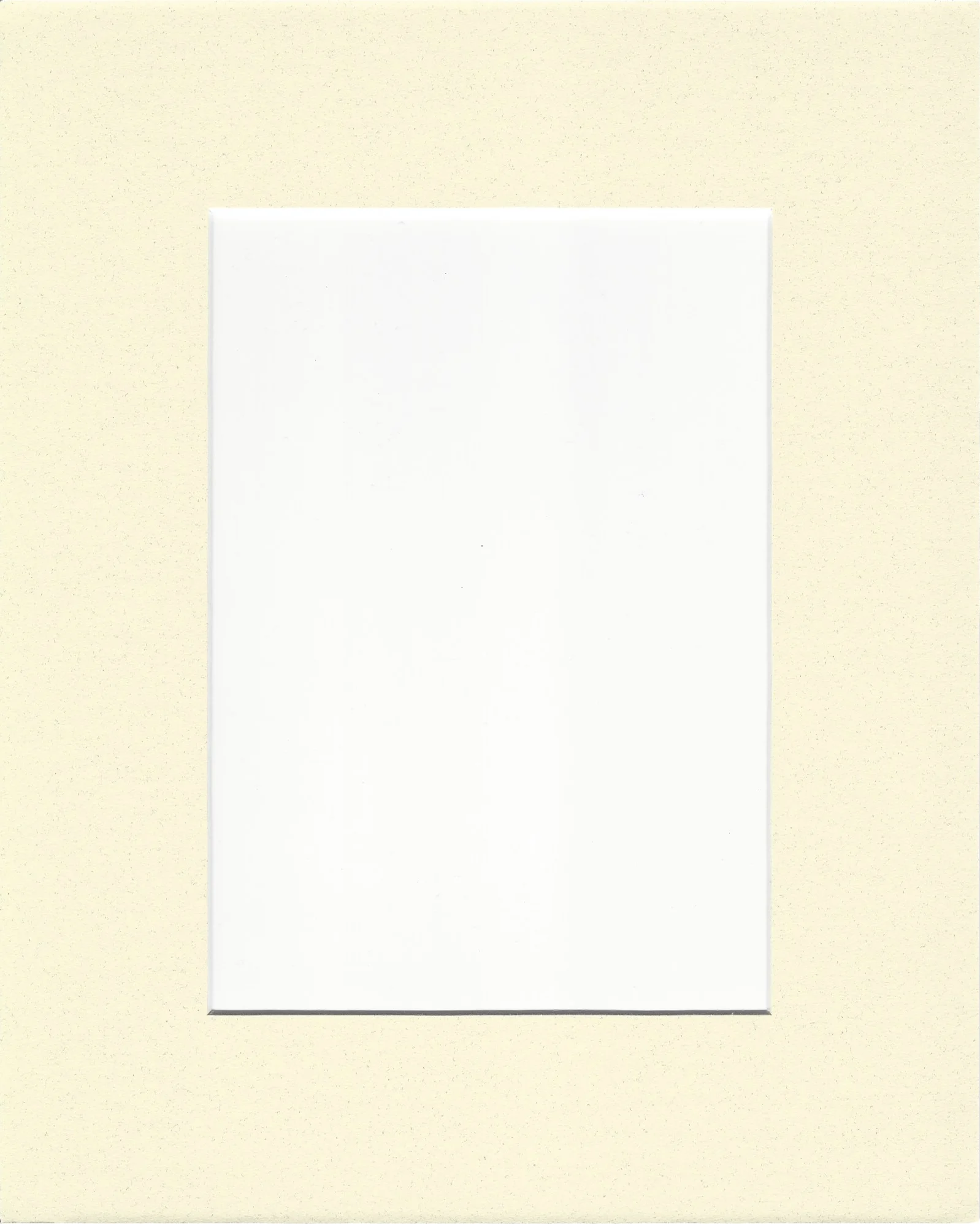 Spice Ivory