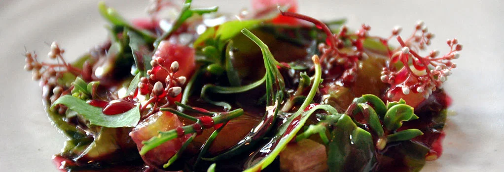 food41.jpg