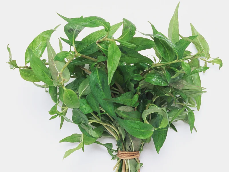 herb_2.jpg