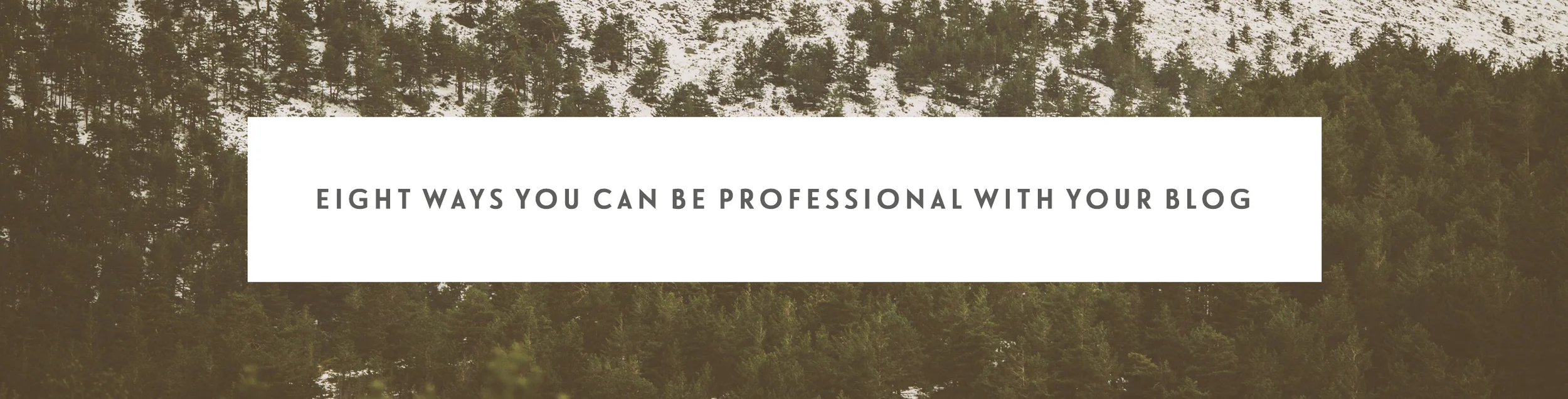 What Being Professional With Your Blog Looks Like — Jen Carrington